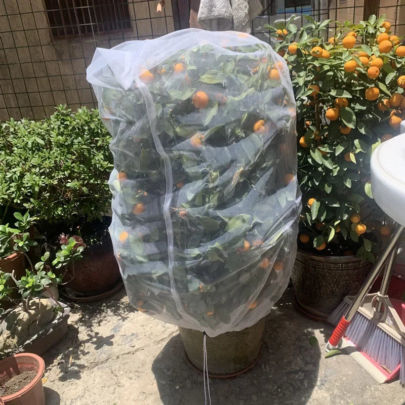 Plant Protection Bag Bonsai Tree Fruit Vegetable Cover Bug Net Pest Control Anti-Bird Garden Orchard Farm Insect Net Garden Tool