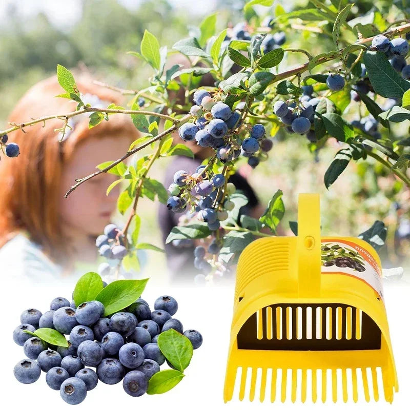 Blueberry Picker Fruit Picker Portable Comb Rakes Catcher Plastic Berry Collection Harvester Farm Fruit Picking Tool for Garden