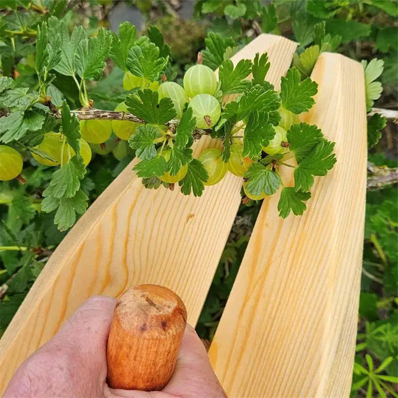 new 1pc  Wooden Handle Berry Picker Blueberry Collection Convenient Handle Picking Tool Greenhouse Garden Farm Fruit Harvester