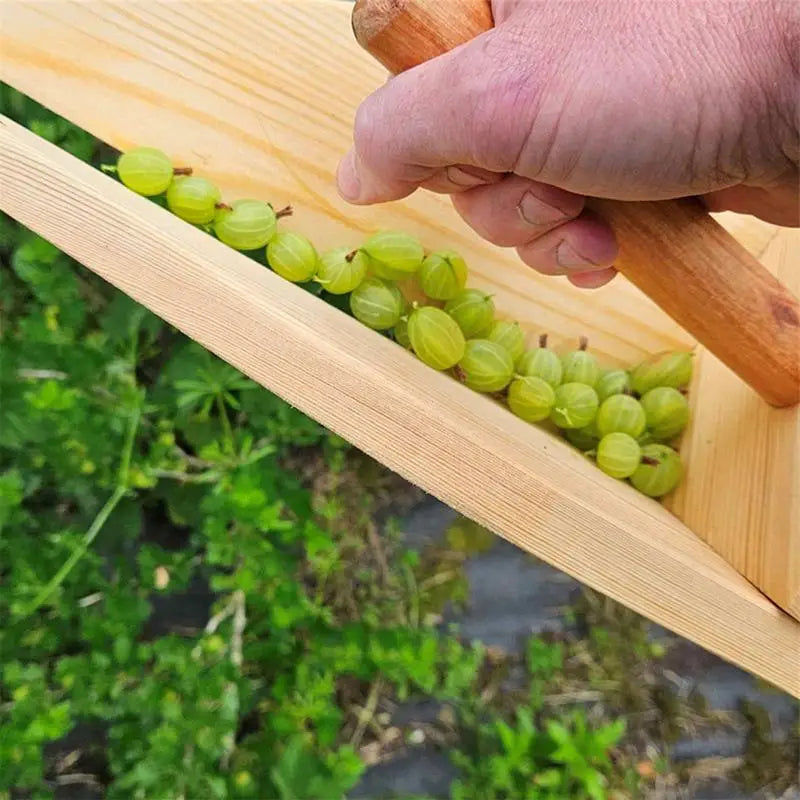 new 1pc  Wooden Handle Berry Picker Blueberry Collection Convenient Handle Picking Tool Greenhouse Garden Farm Fruit Harvester