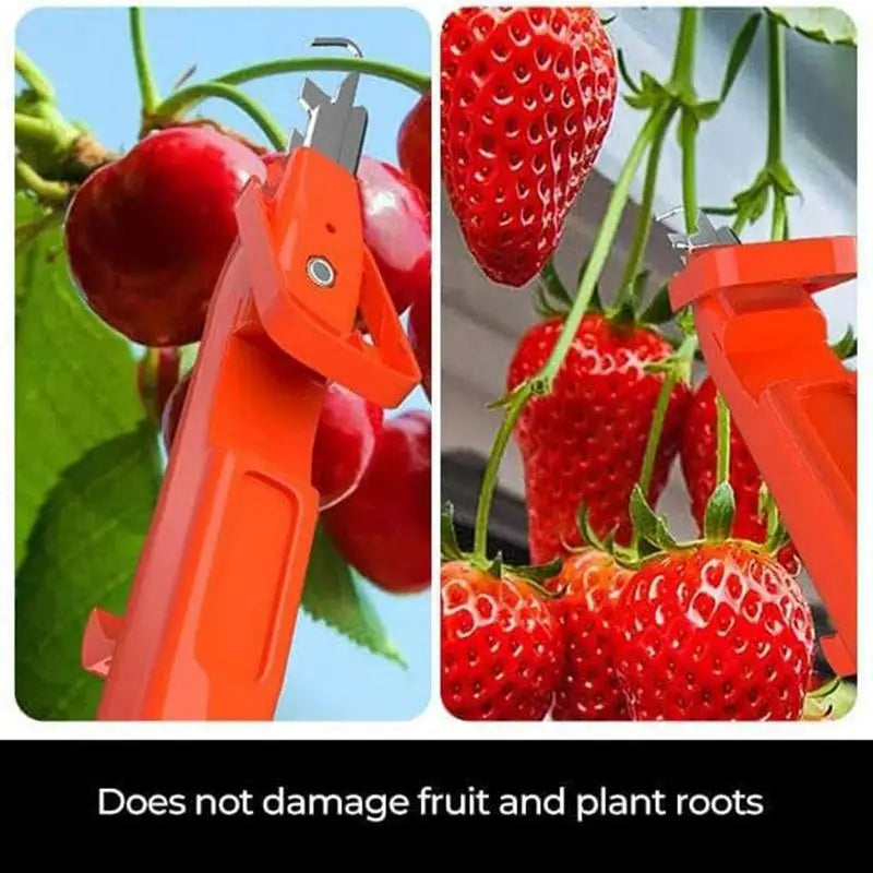 Pepper Gathering Tools Multifunctional Grape Picking Tool Kitchen Chopping Gadgets For Farm Restaurant Hotel Dorm And Garden