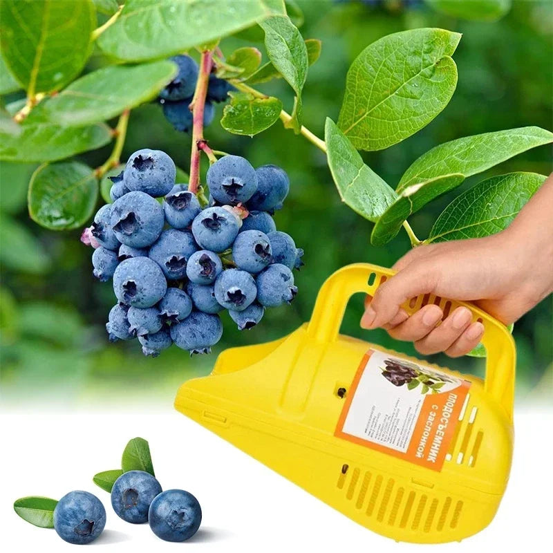 Blueberry Picker Fruit Picker Portable Comb Rakes Catcher Plastic Berry Collection Harvester Farm Fruit Picking Tool for Garden